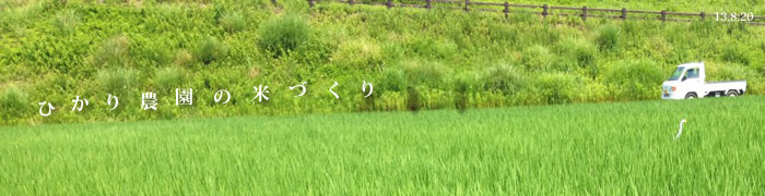 �Ђ���_���̕ĂÂ���