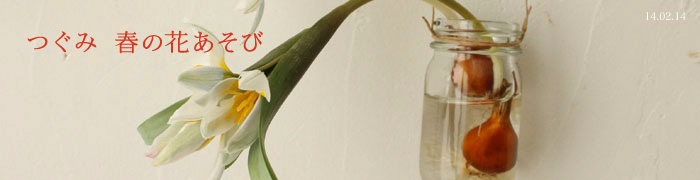 ���݁@�t�̉Ԃ�����