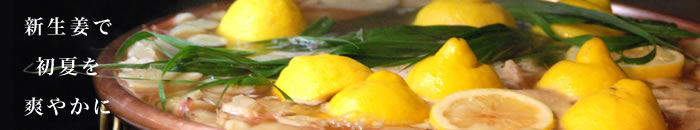 �V���I�ŏ��Ă�u�₩��