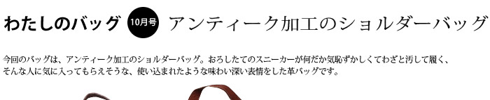 �킽���̃o�b�O6���� �V�����_�[�o�b�O�`���R