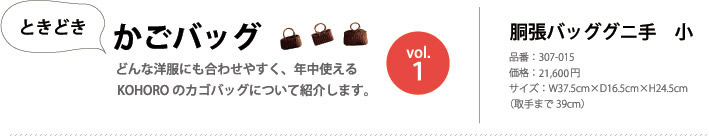 �Ƃ��ǂ������o�b�O vol.1 �����o�b�N�O�j�� ��