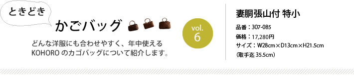 �Ƃ��ǂ������o�b�O vol.6 �ȓ����R�t ����