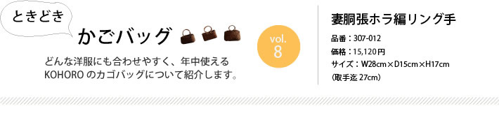 �Ƃ��ǂ������o�b�O vol.8 �ȓ����z���҃����O��