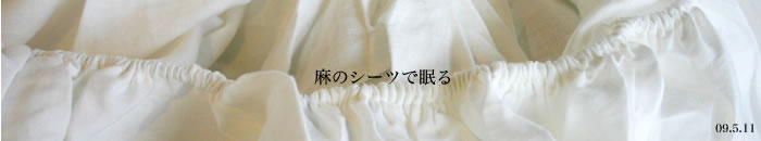 ���̃V�[�c�Ŗ���