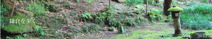 ���̃V�[�c�Ŗ���